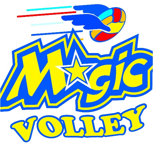 Magic Volley asd